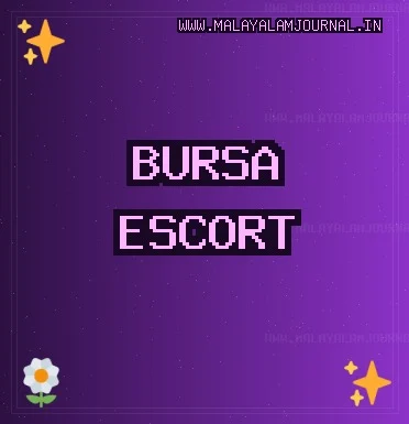 Bursa Escort: Gürsu Escort, İnegöl Escort, Orhaneli Escort