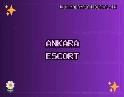 Ankara Escort: Çubuk Escort, Beypazarı Escort, Etimesgut Escort