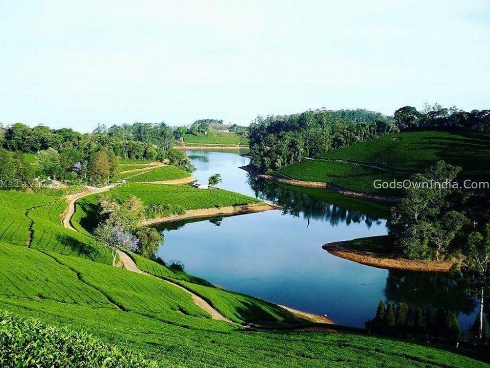 Meghamalai Hill Station: Location, How to Reach, Name Origin, and Top Attractions