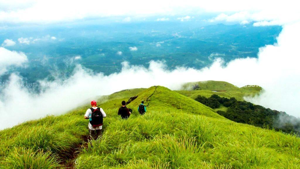 Chembra Peak Trek: Ultimate Guide 2026