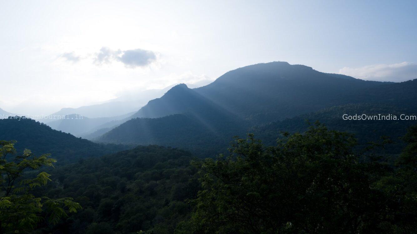 Ultimate Chinnar Wildlife Sanctuary Activities Guide