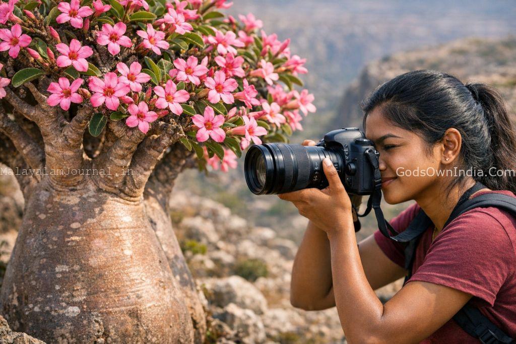 Socotra Island: A Journey to the Most Alien Place on Earth