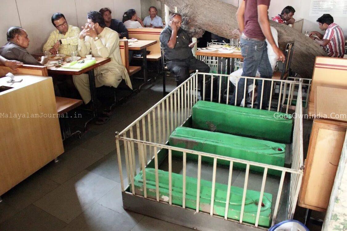 Dining with the Dead: Krishnan Kutty’s New Lucky Restaurant in Ahmedabad