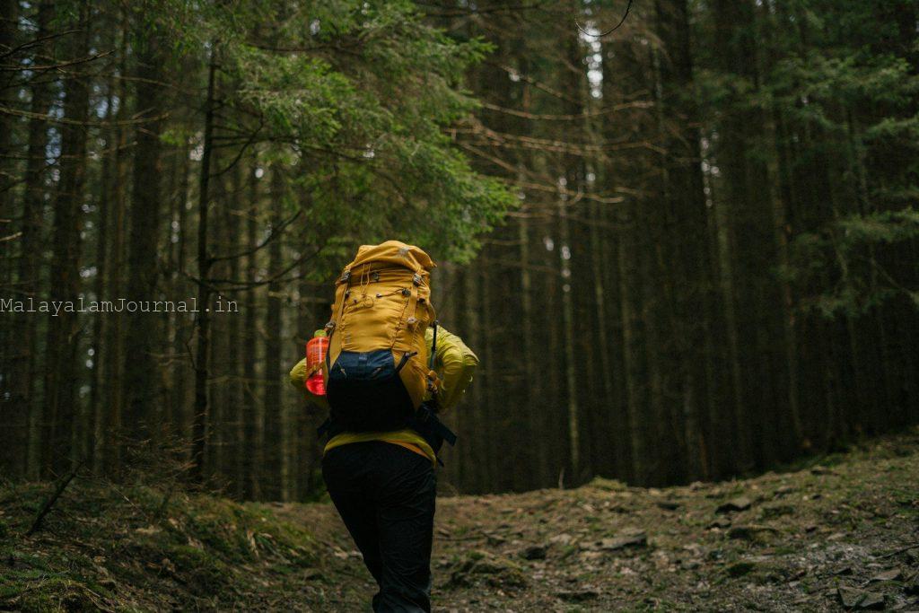 a person walking in a forest