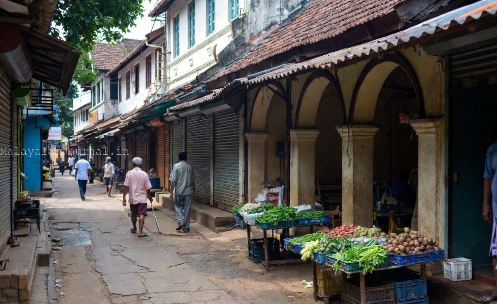 Kerala Brain Drain Karukutty Village Crisis2