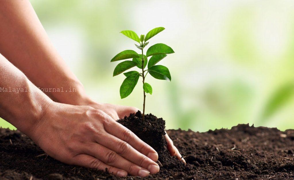 Hands planting a fresh green sapling into fertile soil, with a soft, hopeful green background