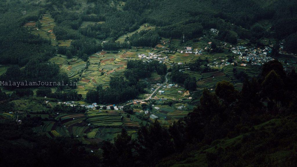 a landscape with trees and buildings