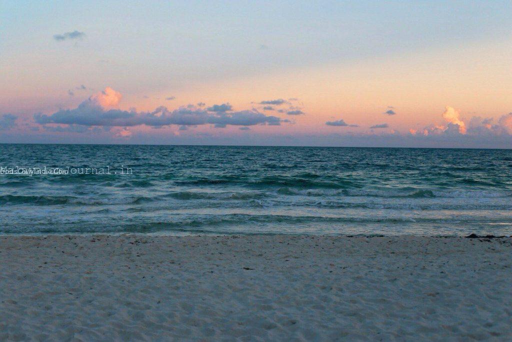 seashore with sea during golden hour
