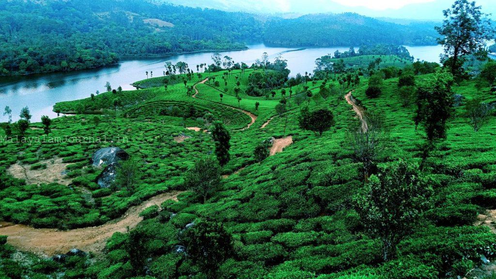 a lush green hillside with a river running through it